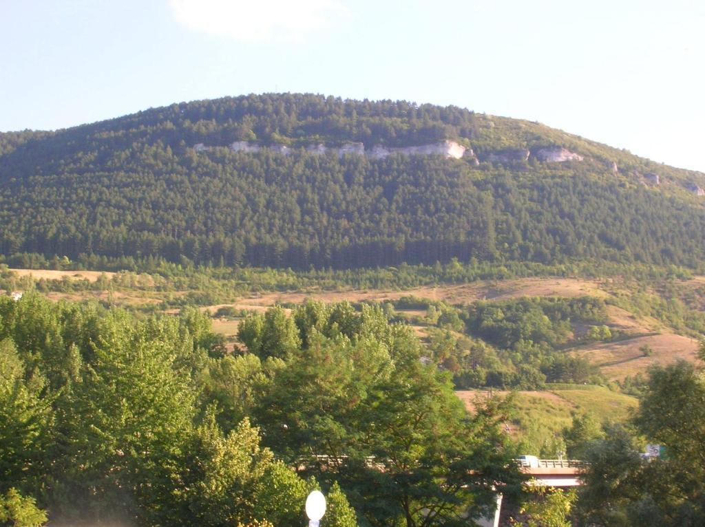 Les Berges Du Tarn Aparthotel Millau Exterior photo