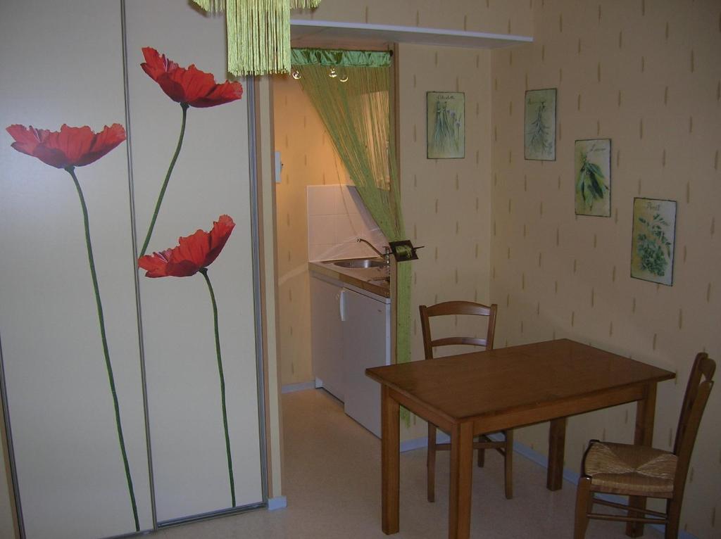 Les Berges Du Tarn Aparthotel Millau Room photo